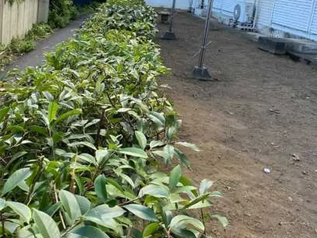 【低価格！地域密着！】ご家庭・企業様の空き地、お庭の草刈り！造園のプロにお任せ！サービスの画像