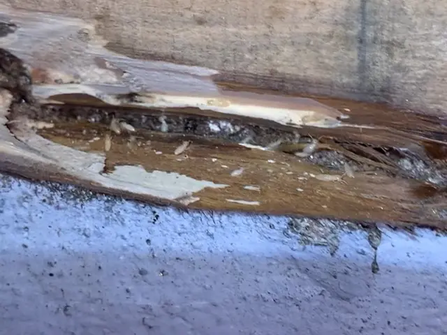 【即日対応・5年保証・対応地域外ご相談歓迎】まずは、ご相談下さい。サービスの画像