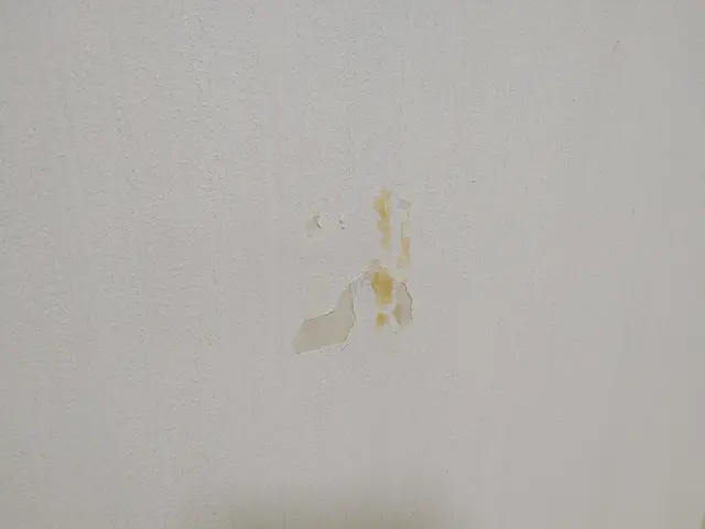 【壁の穴・凹みの補修（壁紙補修）リメイク】もとにもどすだけじゃない！サービスの画像