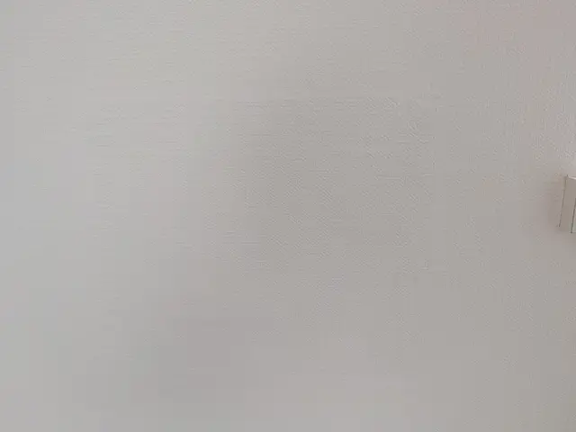 【壁の穴・凹みの補修（壁紙補修）リメイク】もとにもどすだけじゃない！サービスの画像