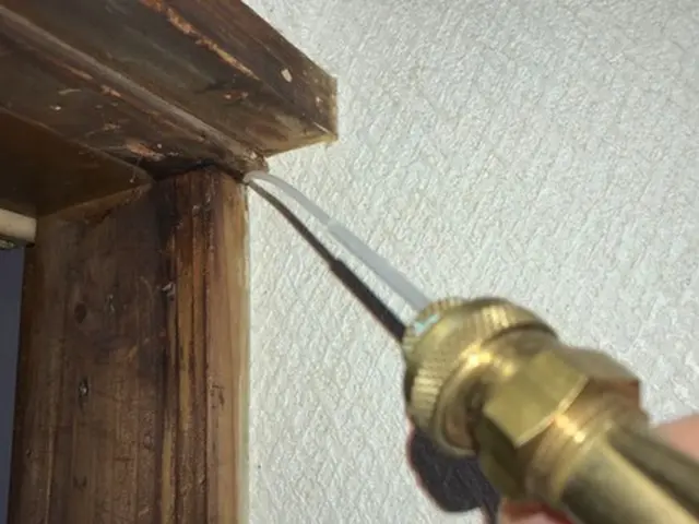 見積無料【徹底駆除】実績多数／適正価格／カード対応／損保加入／プライバシー厳守サービスの画像