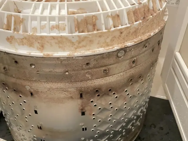 【洗濯物に黒い異物が付いてないですか！？】それはカビです！分解洗浄しませんか！？サービスの画像