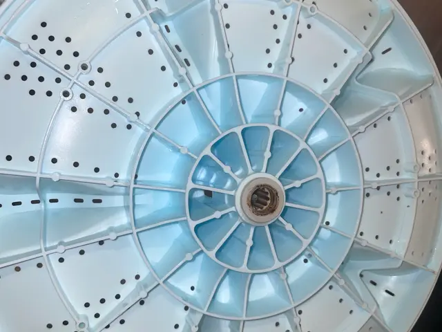 【洗濯物に黒い異物が付いてないですか！？】それはカビです！分解洗浄しませんか！？サービスの画像