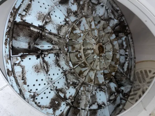 【洗濯物に黒い異物が付いてないですか！？】それはカビです！分解洗浄しませんか！？サービスの画像