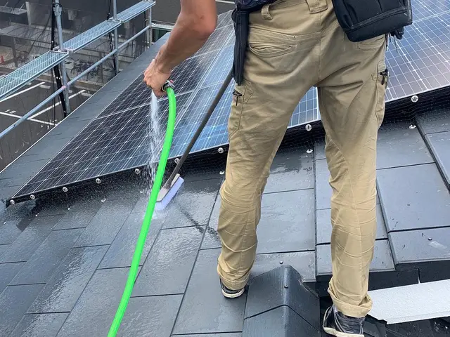 【5年保証】鳩の追い出しから、糞の完全除去と除菌、防除施工まで【20年の実績】サービスの画像