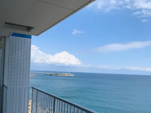 【5年保証】鳩の追い出しから、糞の完全除去と除菌、防除施工まで【20年の実績】サービスの画像