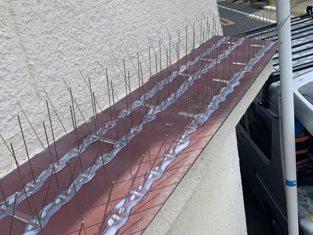 【5年保証】鳩の追い出しから、糞の完全除去と除菌、防除施工まで【20年の実績】サービスの画像