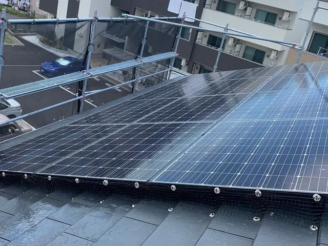 【5年保証】鳩の追い出しから、糞の完全除去と除菌、防除施工まで【20年の実績】サービスの画像