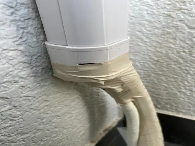 ゴキブリ駆除専門会社◎当日/翌日施工もお気軽にご相談ください/インボイス対応店サービスの画像