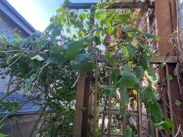 《年中無休》迅速・丁寧！作業外注一切なし◎訪問時の駐車場代は当店が負担！サービスの画像