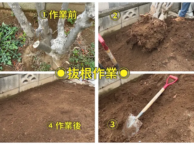 【速い作業・適正な価格・綺麗な仕上り】◎光が指し、風が通るお庭づくり◎サービスの画像