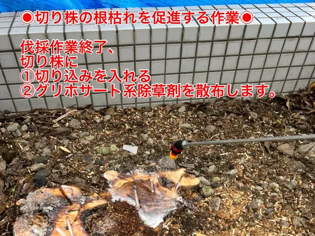 【速い作業・適正な価格・綺麗な仕上り】◎光が指し、風が通るお庭づくり◎サービスの画像