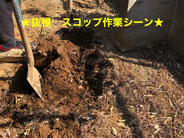 【速い作業・適正な価格・綺麗な仕上り】◎光が指し、風が通るお庭づくり◎サービスの画像