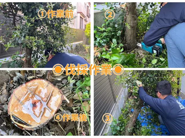 【速い作業・適正な価格・綺麗な仕上り】◎光が指し、風が通るお庭づくり◎サービスの画像