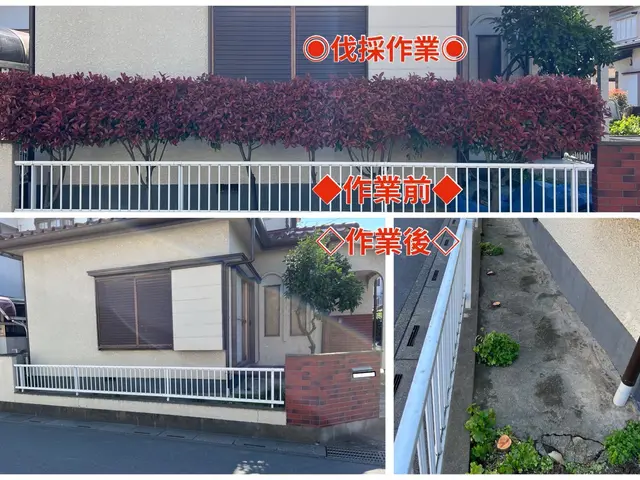 【速い作業・適正な価格・綺麗な仕上り】◎光が指し、風が通るお庭づくり◎サービスの画像