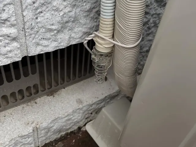 某量販店で9年実績あり！綺麗な仕上がりを優先！2/1まで梯子作業休業します。サービスの画像