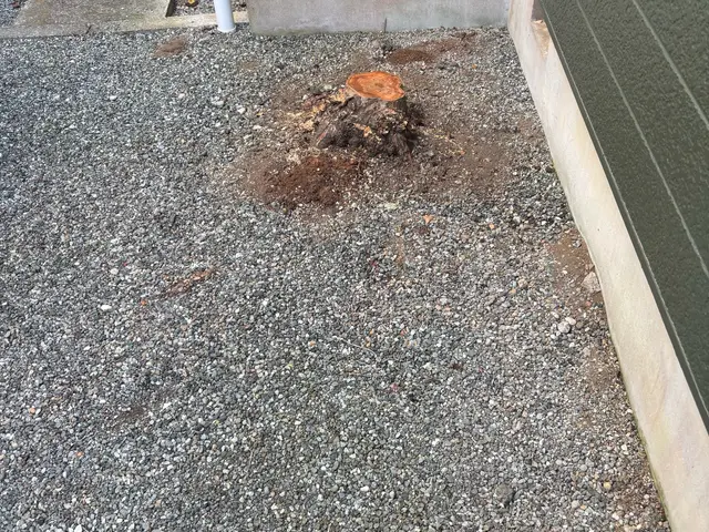 プロの技術でご満足いただけるように心を込めて作業いたします！女性スタッフ同行可サービスの画像