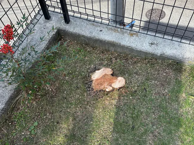 プロの技術でご満足いただけるように心を込めて作業いたします！女性スタッフ同行可サービスの画像