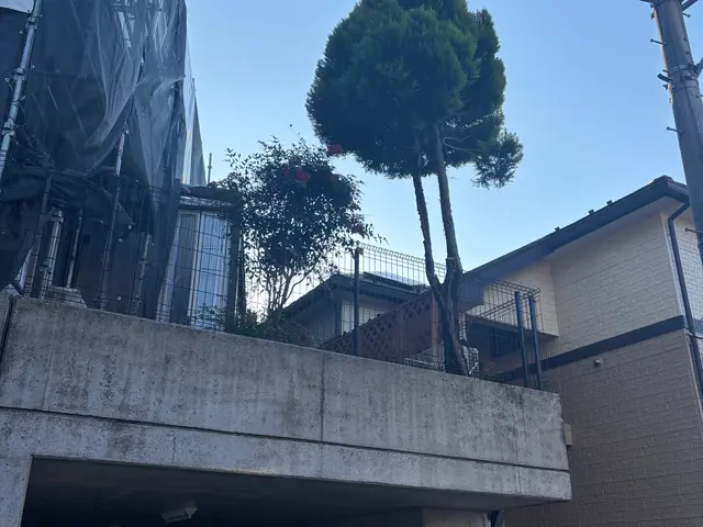 プロの技術でご満足いただけるように心を込めて作業いたします！女性スタッフ同行可サービスの画像