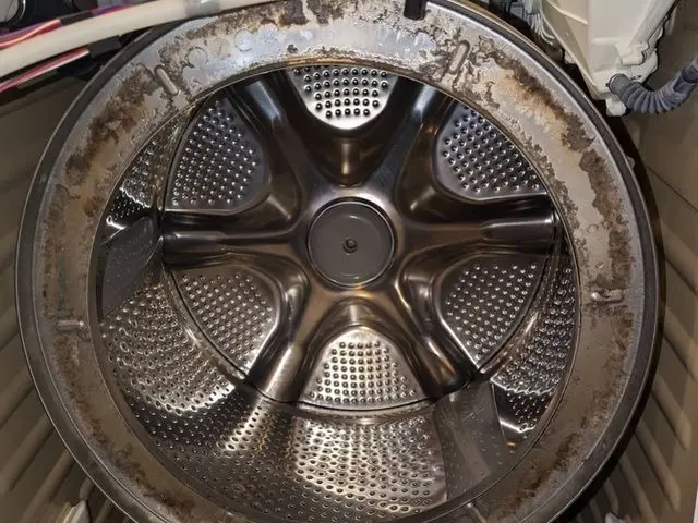 「洗濯機もリフレッシュ！ドラム式清潔プラン」《損害保険加入》サービスの画像