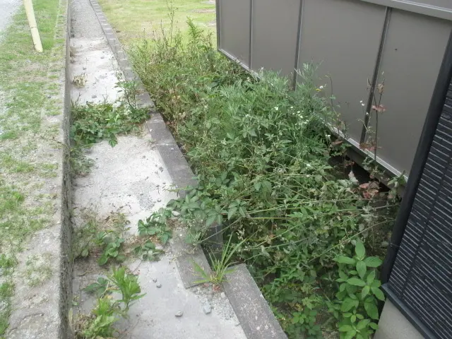 刃刈り後にナイロン当てもしますので、手取り除草に近い仕上がりに！！サービスの画像