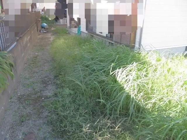 刃刈り後にナイロン当てもしますので、手取り除草に近い仕上がりに！！サービスの画像