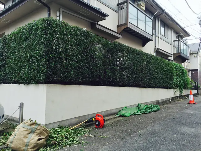 いつもありがとうございます！植え込みの剪定・刈り込みを承ります！サービスの画像