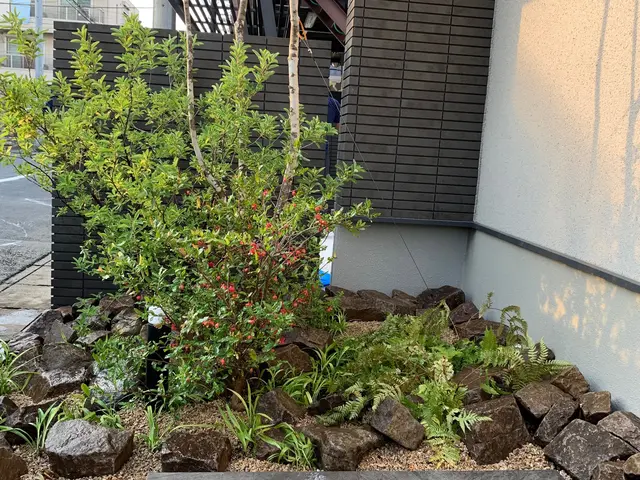 ここまで見てくれてありがとうございます！木を植えると・・景色がガラッと変わりますサービスの画像