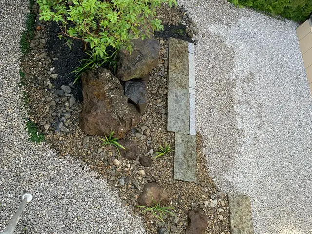 ここまで見てくれてありがとうございます！木を植えると・・景色がガラッと変わりますサービスの画像