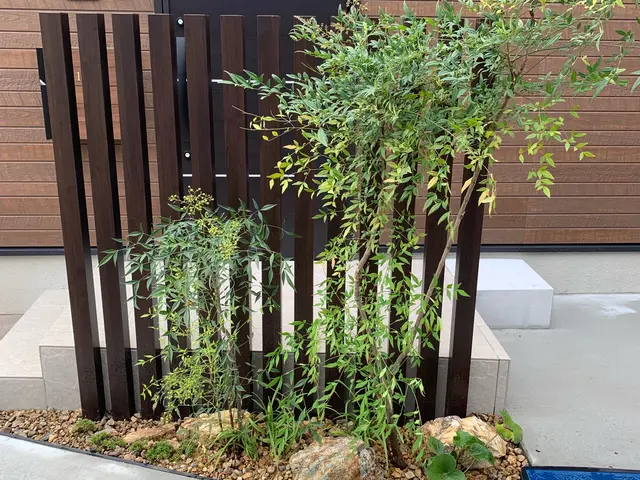 ここまで見てくれてありがとうございます！木を植えると・・景色がガラッと変わりますサービスの画像