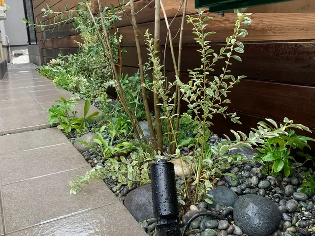 ここまで見てくれてありがとうございます！木を植えると・・景色がガラッと変わりますサービスの画像