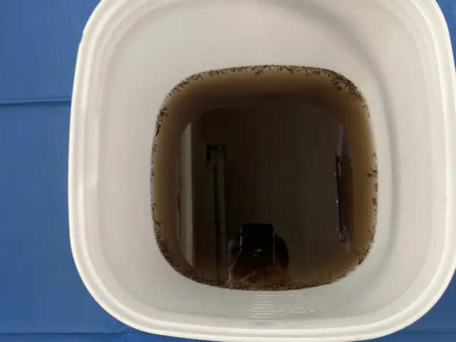 業界歴4年・2000台以上の実績！カビ、匂いが気になったらプロにお任せくださいサービスの画像