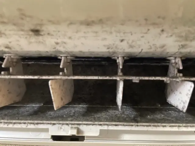 業界歴4年・2000台以上の実績！カビ、匂いが気になったらプロにお任せくださいサービスの画像