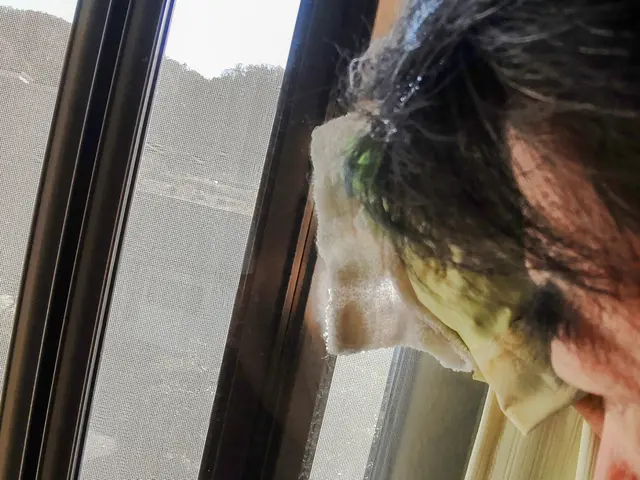 ガラス両面の掃除及びサッシの掃除午前中、早い時間帯で受付可能。サービスの画像