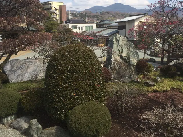 厚労省認定2級造園技能士！街路樹剪定士！2級土木施工管理所有！プロの技術！サービスの画像