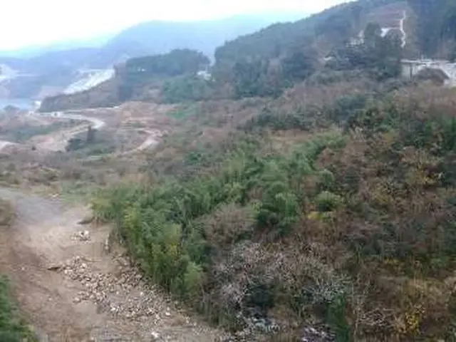 お庭の事のおまかせ下さい！　1級造園技能士　県知事賞受賞　必ず私が伺います！サービスの画像