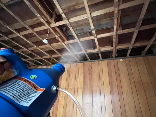 即日対応可能！1000件以上の実績！ ノミ・ダニ被害にお困りの方はご相談下さい！サービスの画像