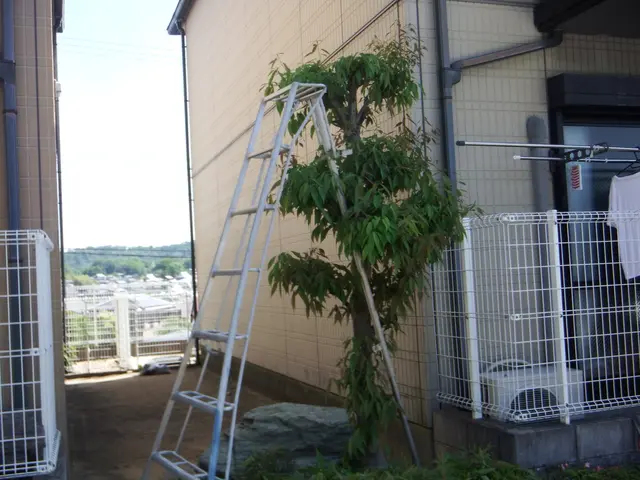 【業歴30年の造園施工管理技士が伺います！】年中無休なのでいつでもご予約可能！サービスの画像