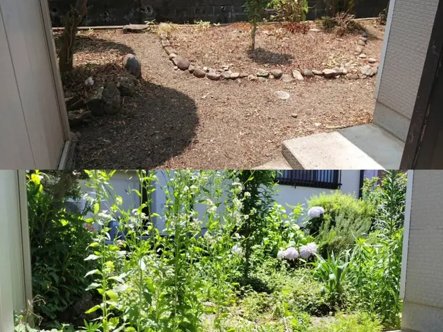 当店は草刈りだけでは有りません!除草剤噴霧もセットで根っ子まで枯らします！サービスの画像