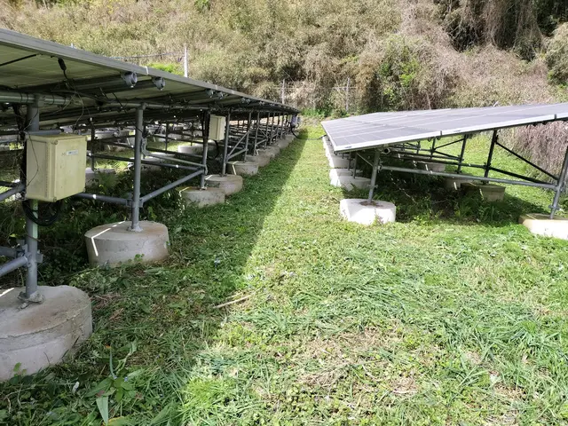当店は草刈りだけでは有りません!除草剤噴霧もセットで根っ子まで枯らします！サービスの画像