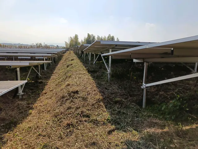 当店は草刈りだけでは有りません!除草剤噴霧もセットで根っ子まで枯らします！サービスの画像