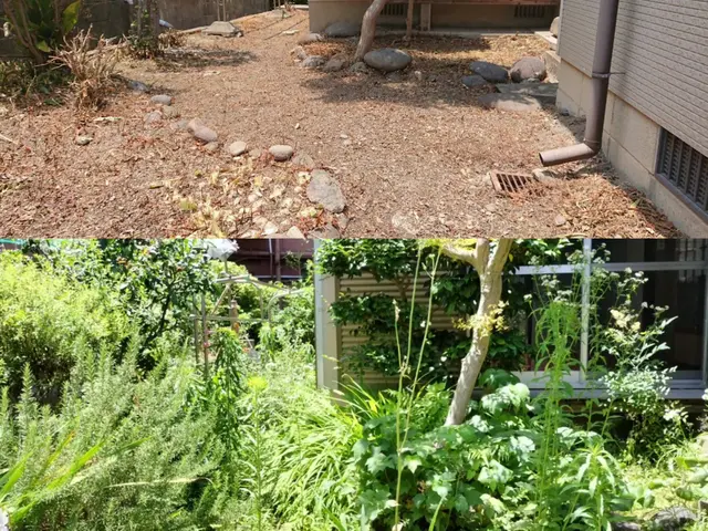 当店は草刈りだけでは有りません!除草剤噴霧もセットで根っ子まで枯らします！サービスの画像