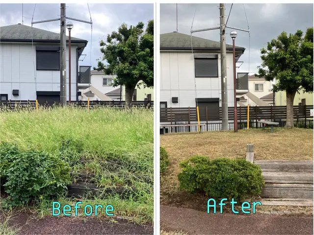 15年の経験と一級資格でお庭の健康と美しさ守る匠の技サービスの画像