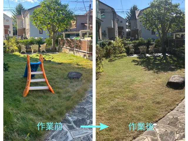 15年の経験と一級資格でお庭の健康と美しさ守る匠の技サービスの画像