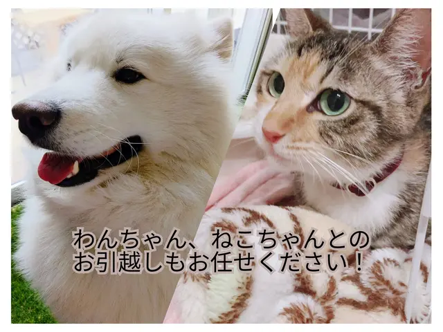 5年連続アワード受賞の便利屋TRY（株）2名作業！不用品回収！2t車プランもありサービスの画像