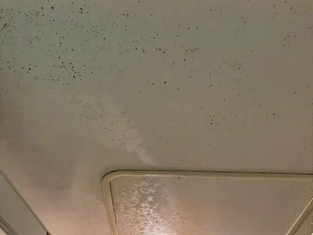 ☆分解洗浄込☆大手経験スタッフ☆赤ちゃん・ペットに安心な洗剤使用☆サービスの画像