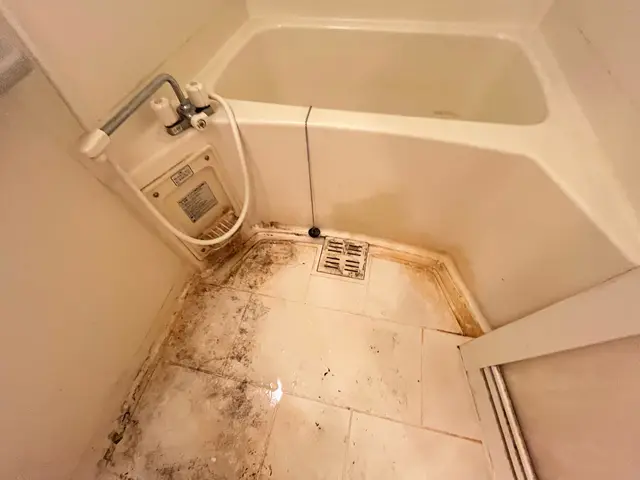 【新生活応援】浴室クリーニング！綺麗な風呂で心も綺麗に！サービスの画像