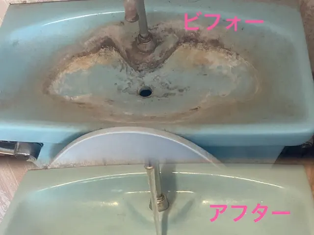 ■必ず女性と２人作業■損害保険加入※清掃資格保持※除菌抗菌洗剤使用※法人運営※サービスの画像