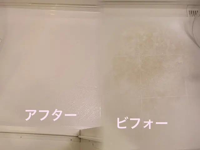 ■必ず女性と２人作業■損害保険加入※清掃資格保持※除菌抗菌洗剤使用※法人運営※サービスの画像