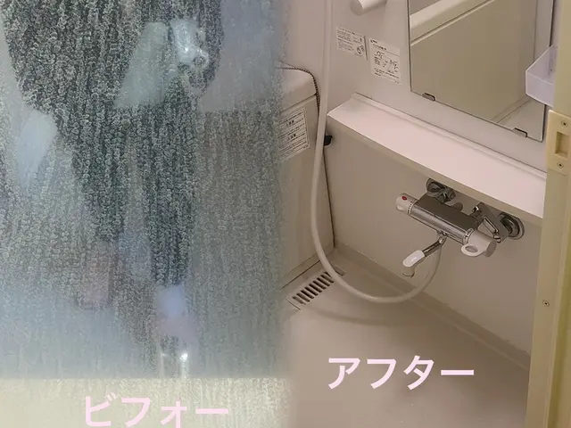 ■必ず女性と２人作業■損害保険加入※清掃資格保持※除菌抗菌洗剤使用※法人運営※サービスの画像